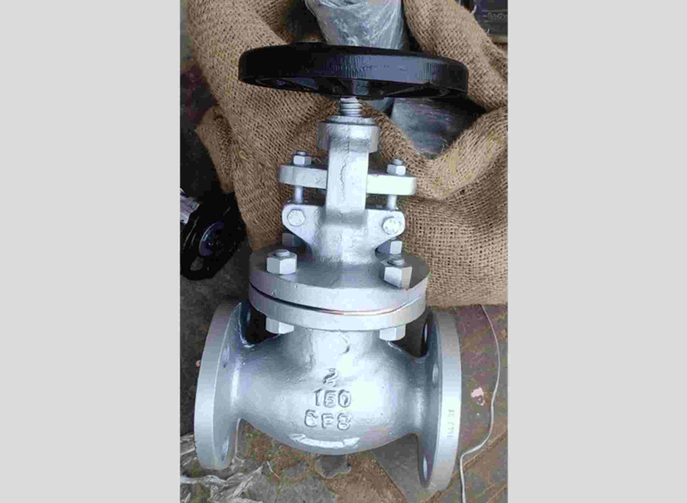 SS globe valve L&T