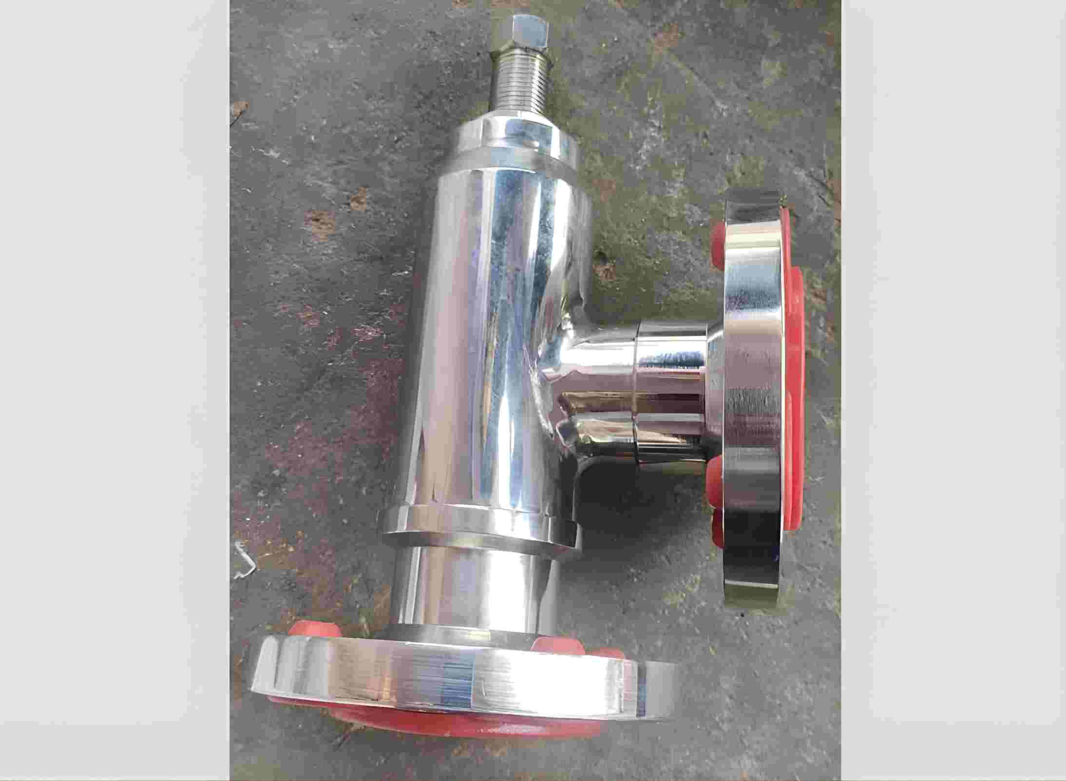 SS safety valve